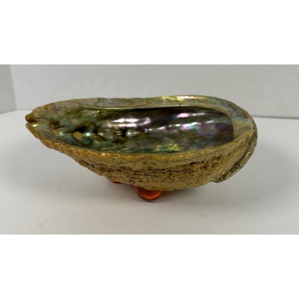 Vintage Natural Abalone Shell Footed Soap Dish Trinket Dish 6" iridescent